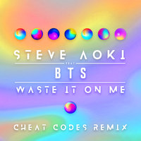 Waste It On Me - Steve Aoki, BTS, Cheat Codes
