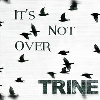 It's Not Over - TrineATX