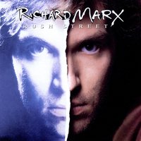 Playing With Fire - Richard Marx