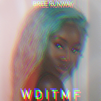 What Do I Tell My Friends? - Bree Runway