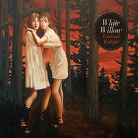 Snowswept - White Willow