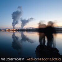 They're on to Something - The Lonely Forest