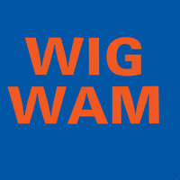 Losing Hold - Wigwam