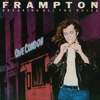 Lost A Part Of You - Peter Frampton
