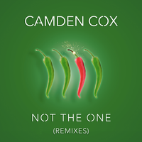 Not the One - Camden Cox, Alex Adair