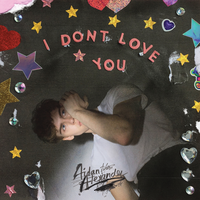 I Don't Love You - Aidan Alexander