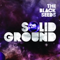 Send a Message - The Black Seeds