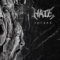 Quintessence of Higher Suffering - Hate