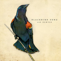 Blackbird Song - Lee DeWyze