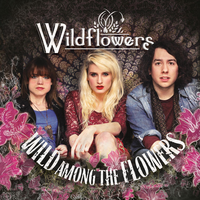 Edge of the Road - Wildflowers