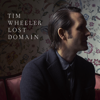 Lost Domain - Tim Wheeler