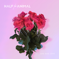 Bad Bad Love - Half the Animal