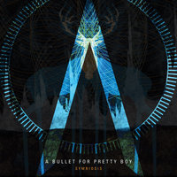 Forgiven Not Forgotten - A Bullet For Pretty Boy