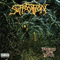 Suspended in Tribulation - Suffocation