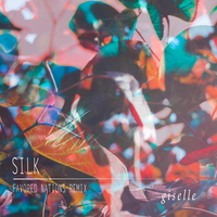 Silk - Favored Nations