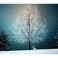 Cozy Christmas - Shakuhachi Sakano, Christmas Piano Music, White Noise Baby Sleep