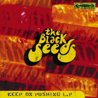 Coming Back Home - The Black Seeds