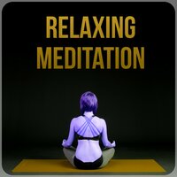 Healing Chakra (Nature Rain) - Buddhist Meditation Music Set