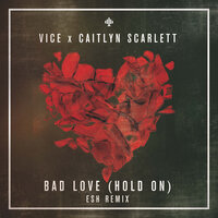 Bad Love - Vice, Caitlyn Scarlett
