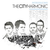 What I Want - The City Harmonic