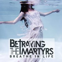 Because of You - Betraying the Martyrs