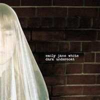 Dark Undercoat - Emily Jane White