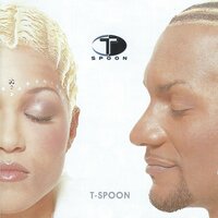 If I Could Turn Back Time - T-Spoon