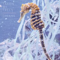 Dreams - Taken By Trees
