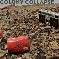Colony Collapse - Filastine, Nova