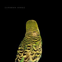 Armchairs - Andrew Bird