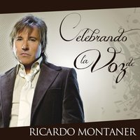 No Te Pareces a Mí - Ricardo Montaner