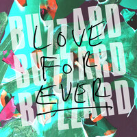 Love Forever - Buzzard Buzzard Buzzard