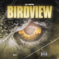 Birdview - Lil Poppa