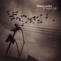 Wedding Bells are Breaking Up That Old Gang of Mine - Shearwater