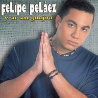No puedo Vivir Sin Ti - Felipe Peláez