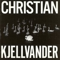 Bird Black Sky - Christian Kjellvander