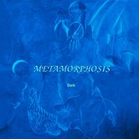 You - Metamorphosis