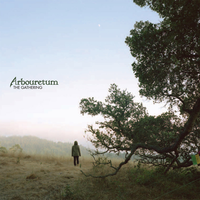 Destroying to Save - Arbouretum