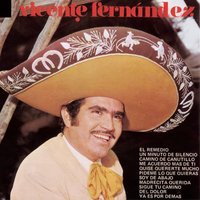 Perdon Madrecita - Vicente Fernandez