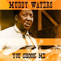 Go My Mojo Working - Muddy Waters