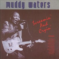 I'm Your Hoochie Coochie Man (Alt.Take) - Muddy Waters