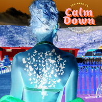 You Need To Calm Down - Taylor Swift, Clean Bandit