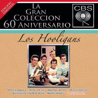 Agujetas de Color de Rosa (Pink Shoe Laces) - LOS HOOLIGANS