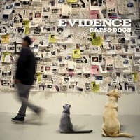 The Liner Notes feat. Aloe Blacc - Evidence
