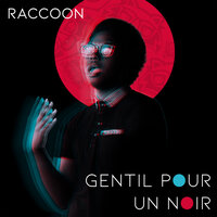 Gentil pour un noir - Raccoon