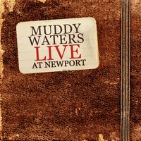 Goodbye Newport Blues - Muddy Waters