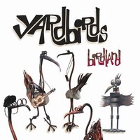 An Original Man - The Yardbirds