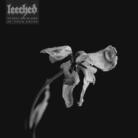 Earth and Ash - Leeched