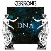 2020 Experience - Cerrone