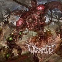 Ingswarm - Wormhole